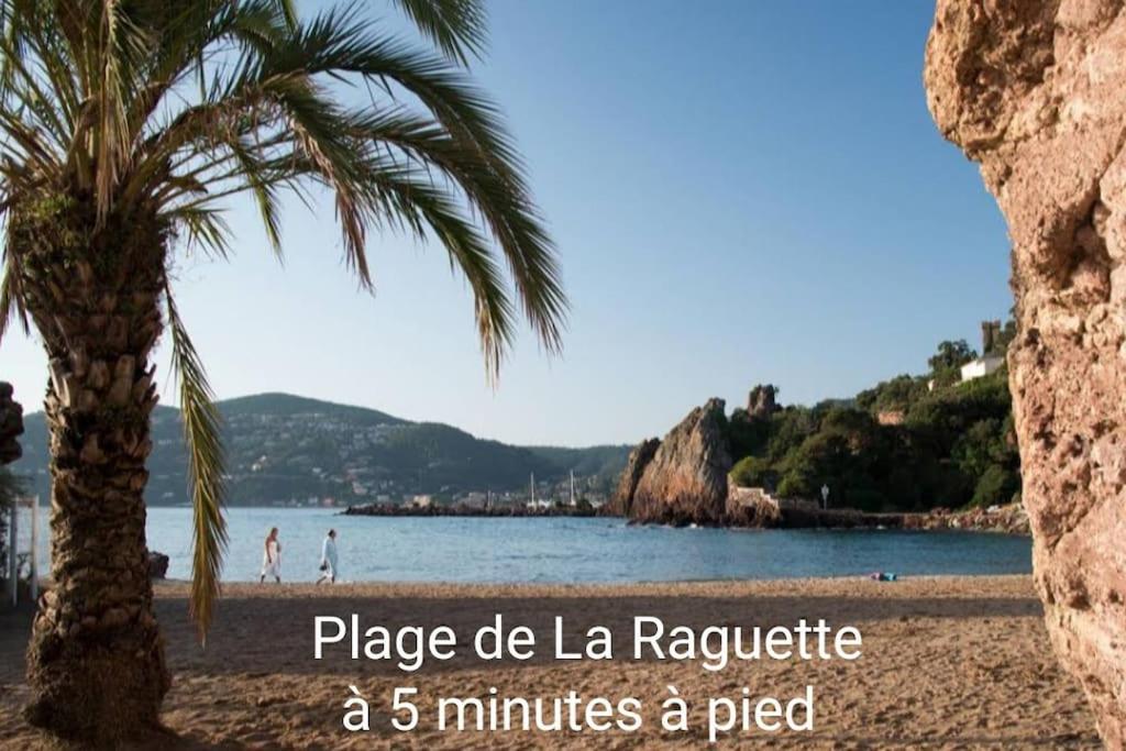 Claelle Appartment - 200M Beach Mandelieu Exteriér fotografie